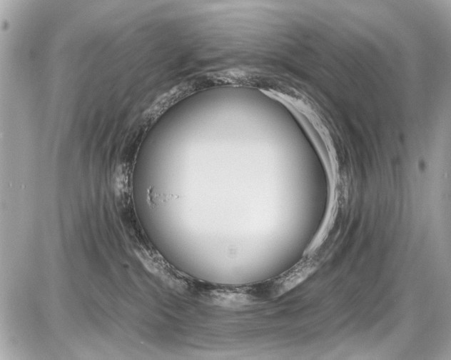 X0000087010284200704161315
