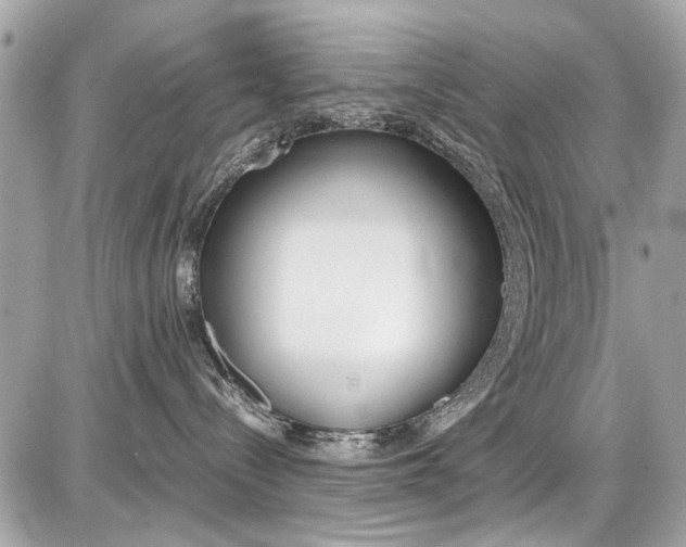 X0000087010288200704161315