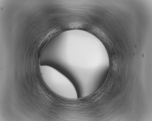 X0000087010308200704161314