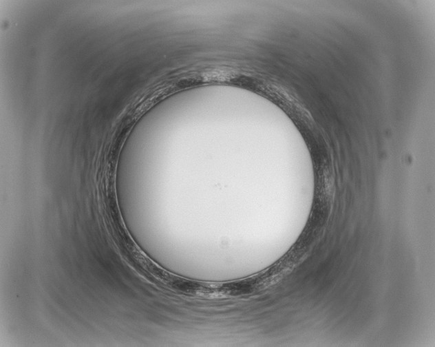 X0000087010311200704161314