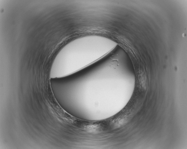 X0000087010312200704161314