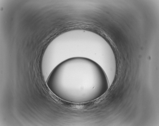 X0000087010313200704161314