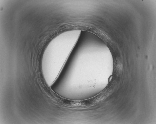 X0000087010315200704161314