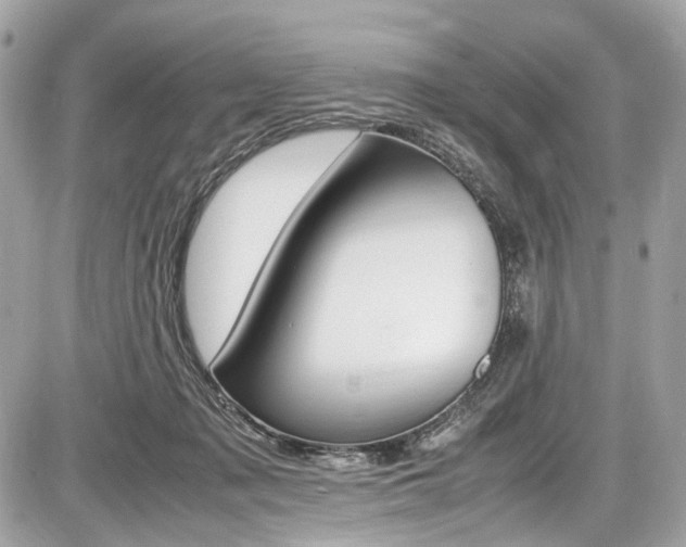 X0000087010317200704161314