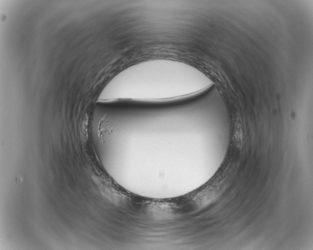 X0000087010332200704161313