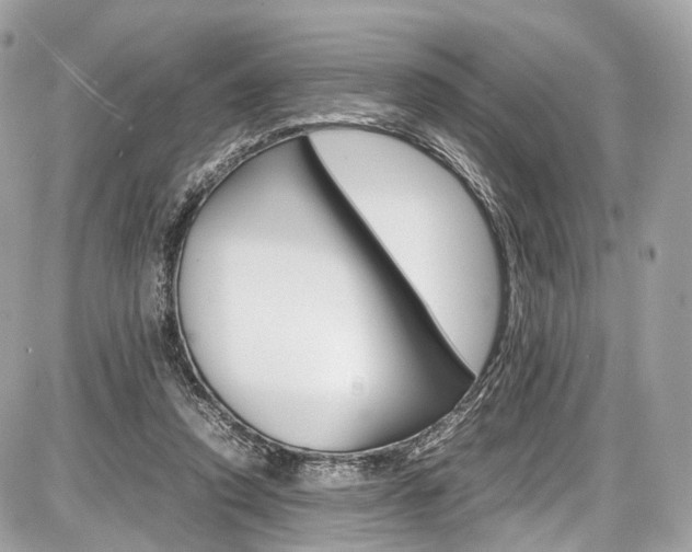 X0000087010354200704161313