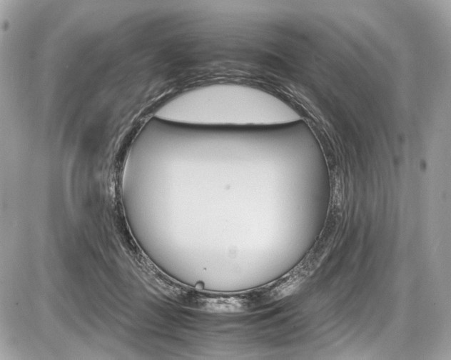X0000087010363200704161313
