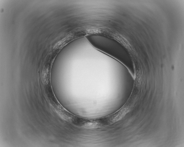 X0000087010364200704161313