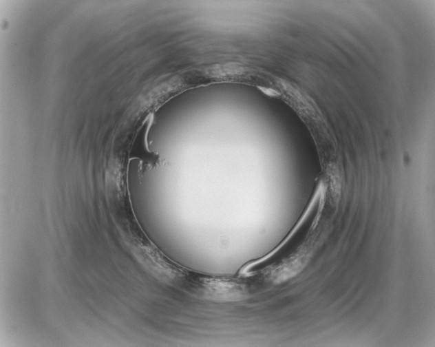 X0000087010380200704161313