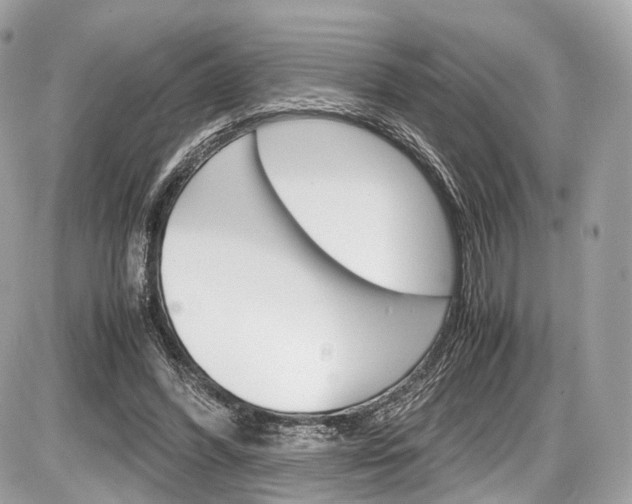 X0000087010396200704161312