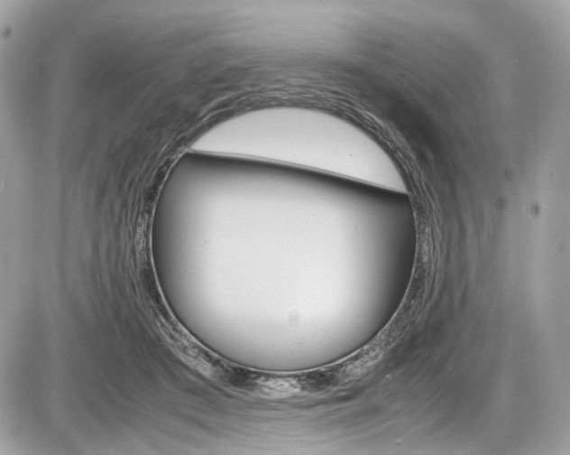 X0000087010409200704161312