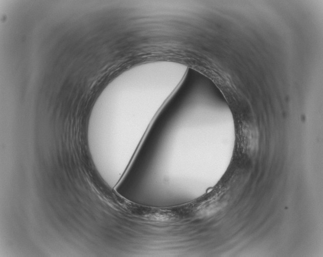 X0000087010412200704161312
