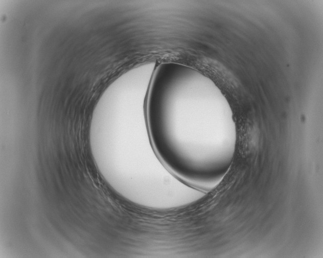 X0000087010416200704161312
