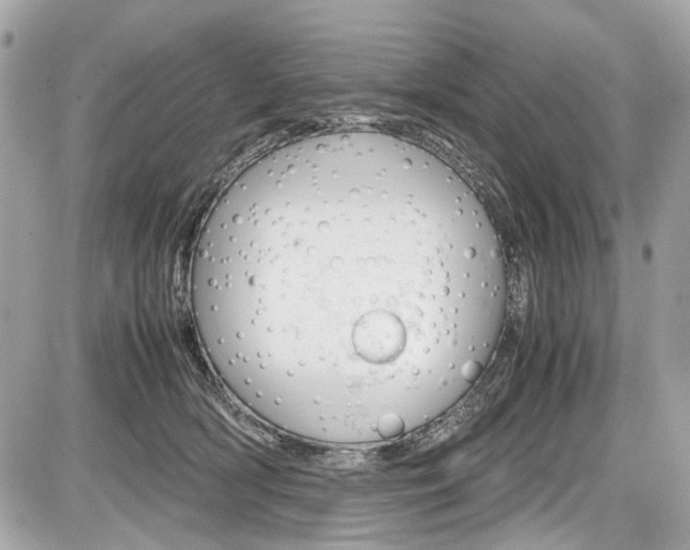 X0000087010418200704161312