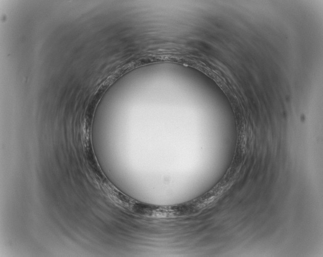 X0000087010420200704161312