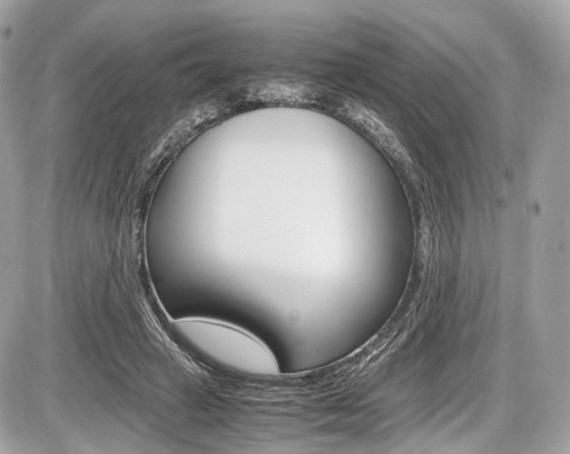 X0000087010449200704161311