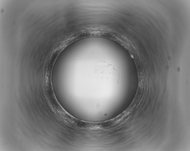 X0000087010456200704161311