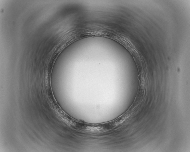 X0000087010457200704161311