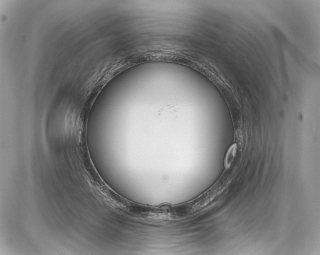 X0000087010458200704161311