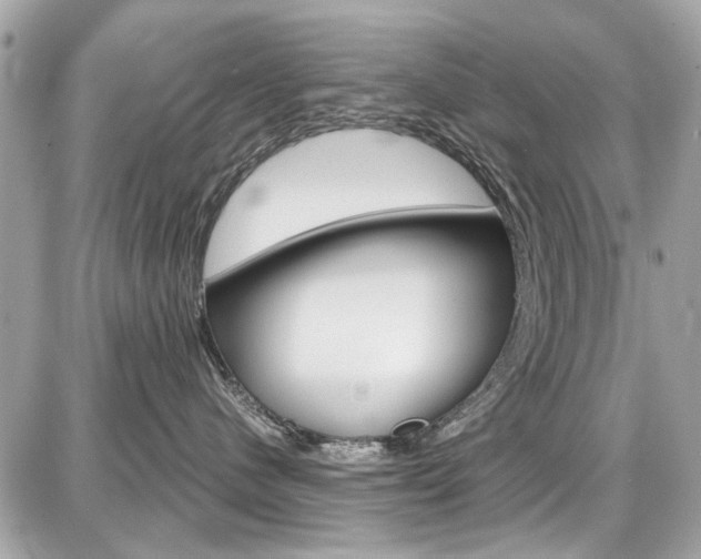 X0000087010480200704161312