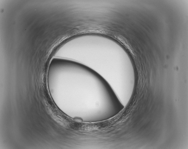 X0000087010491200704161310
