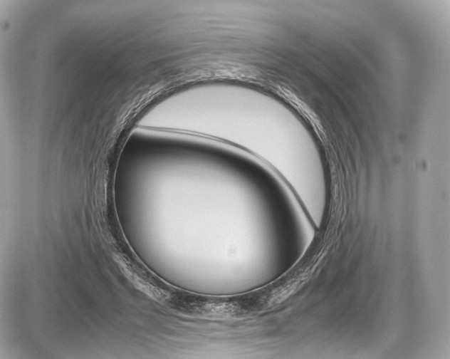 X0000087010493200704161310
