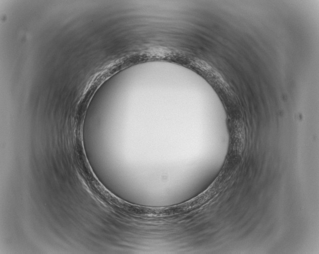 X0000087010496200704161310