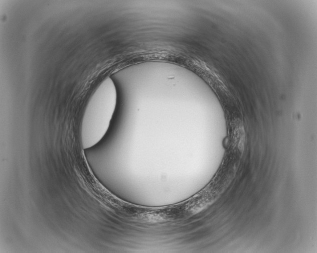 X0000087010498200704161310