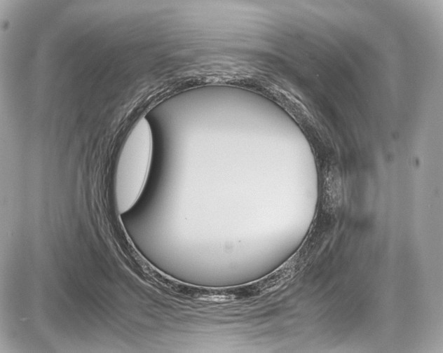 X0000087010499200704161310