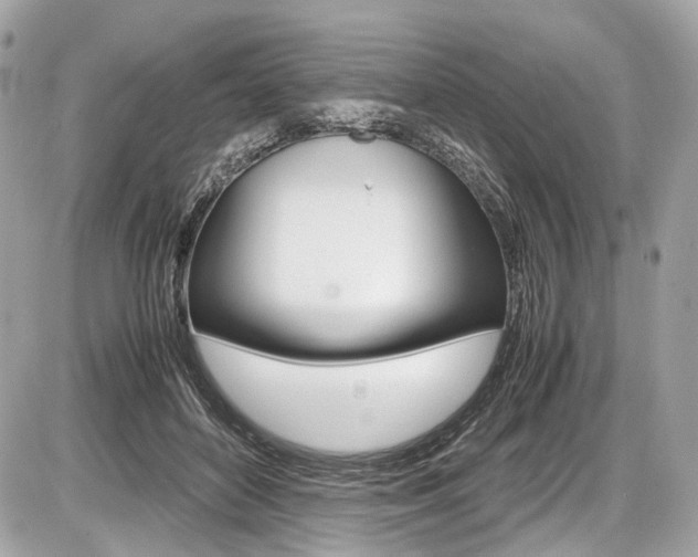 X0000087010504200704161310