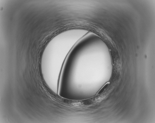 X0000087010505200704161310