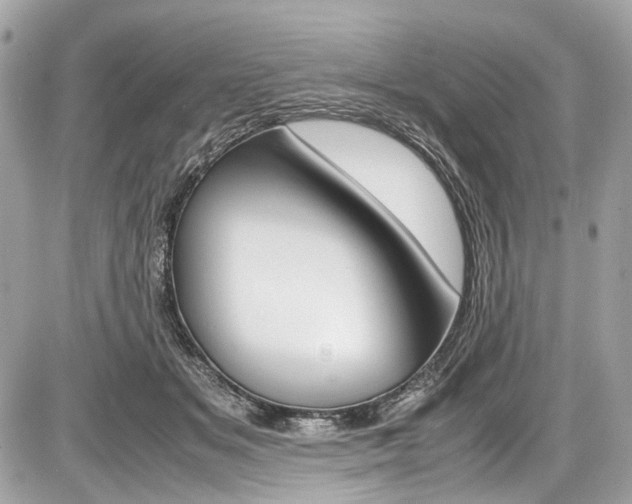 X0000087010509200704161310