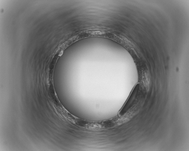 X0000087010512200704161310