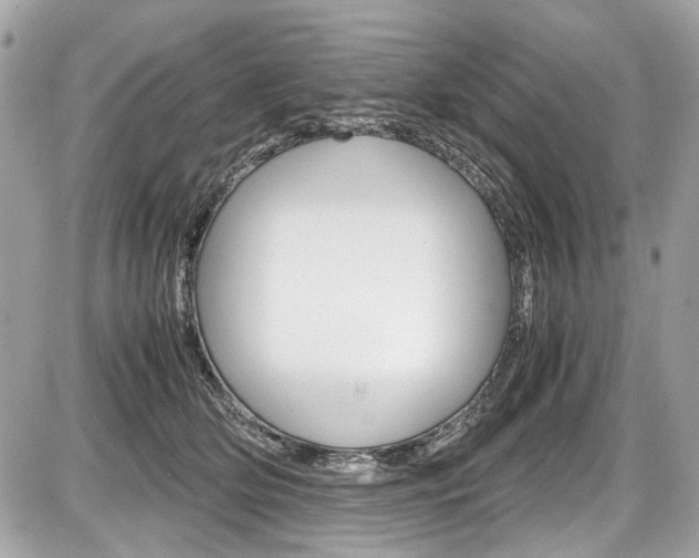 X0000087010514200704161310