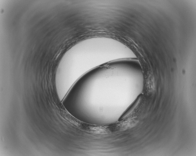 X0000087010516200704161310