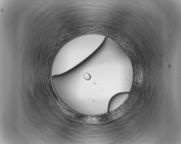 X0000087010518200704161310