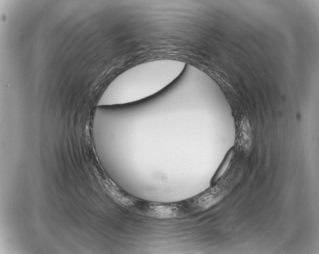 X0000087010522200704161310