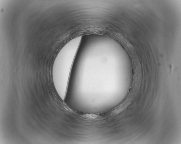X0000087010528200704161310