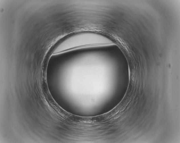 X0000087010540200704161309