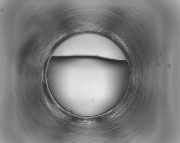 X0000087010542200704161309
