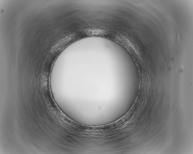 X0000087010545200704161309