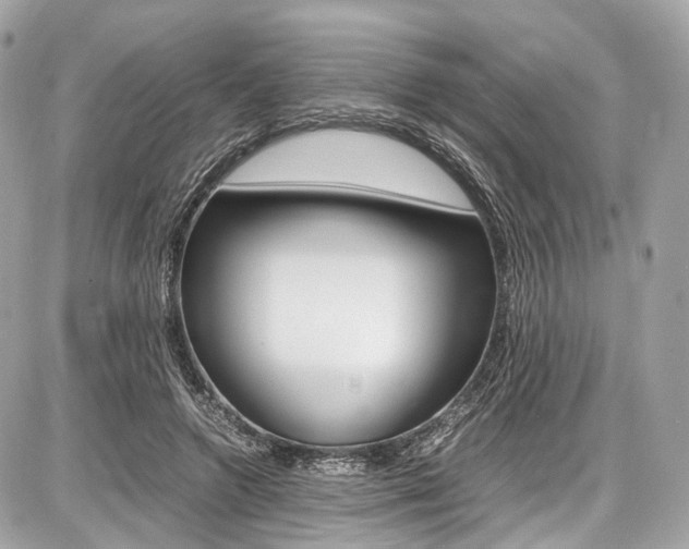 X0000087010546200704161309