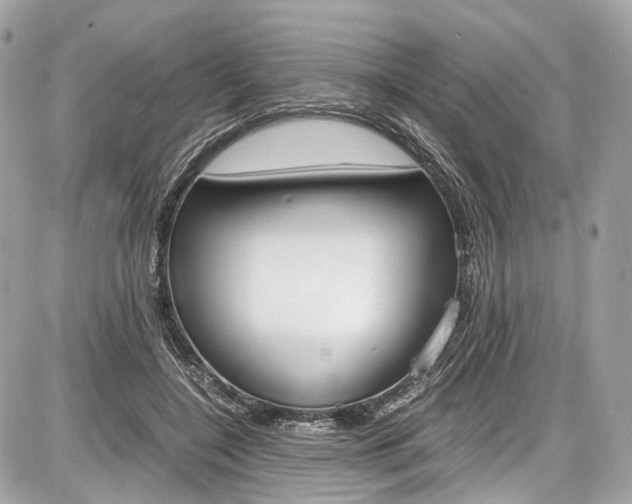 X0000087010548200704161309