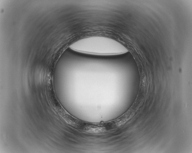 X0000087010555200704161309