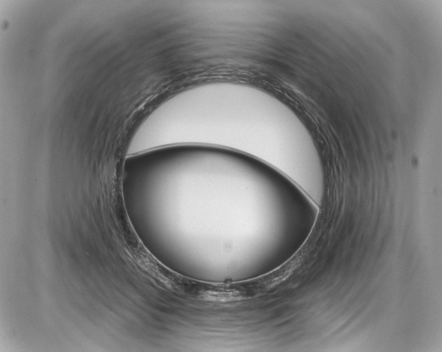 X0000087010556200704161309