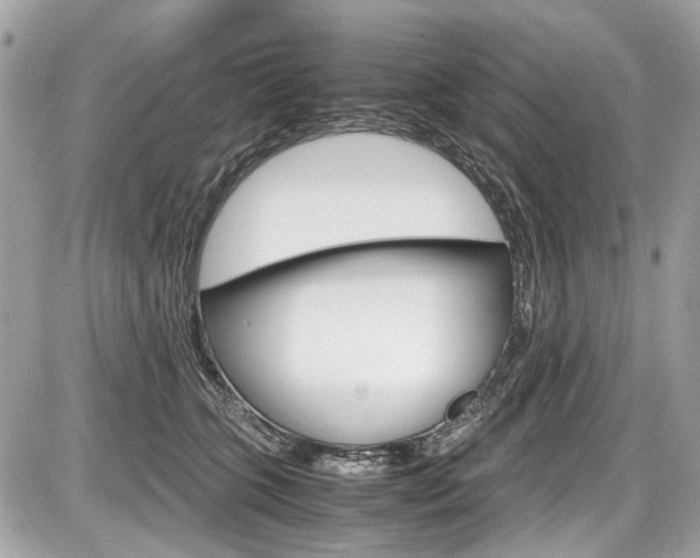 X0000087010563200704161310