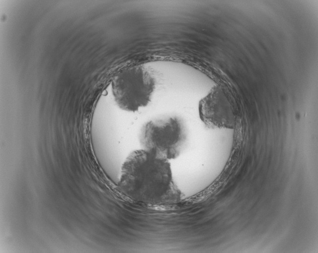 X0000087010565200704161310