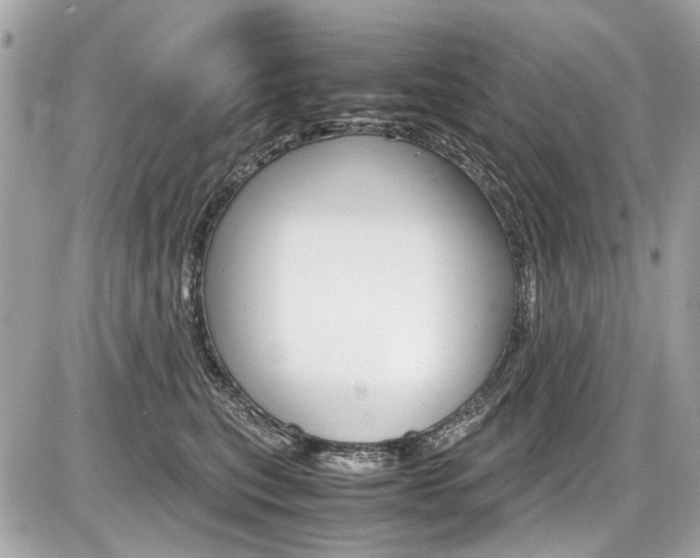 X0000087010567200704161310