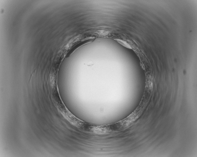 X0000087010568200704161310