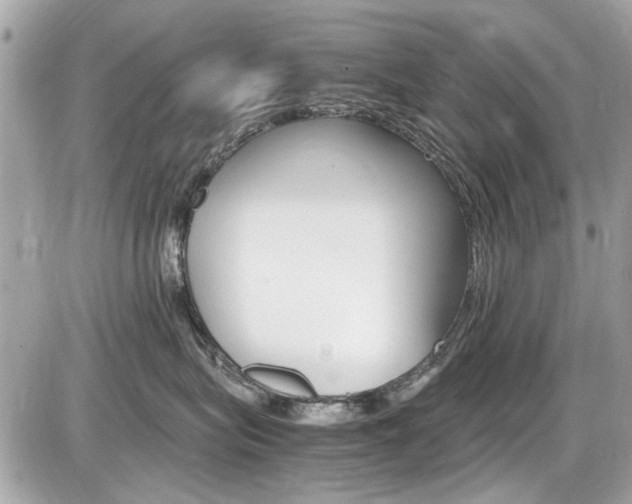 X0000087010575200704161310